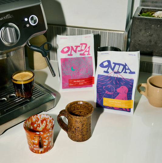 Coffee Storage 101: A Guide to Freshness