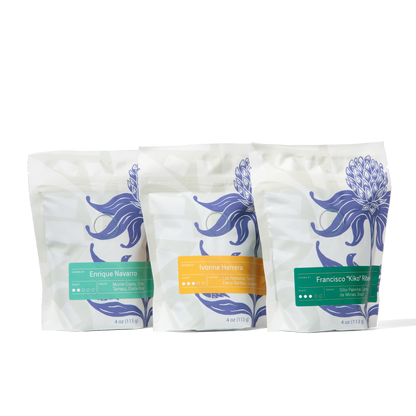 Our Big Three Sampler Pack