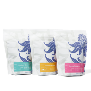 Single Origin Sampler Pack