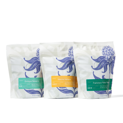 Three coffee bags with floral designs on a white background