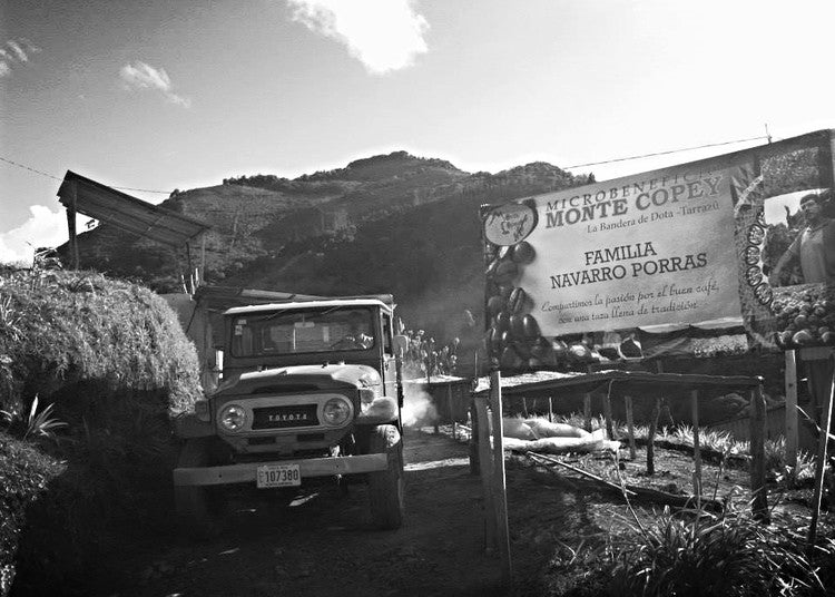 On the coffee farm in costa rica, coffee farmers costa rica, coffee farmer stories, direct trade coffee